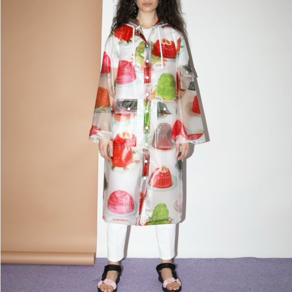 ISO Rachel Antonoff Jello Print